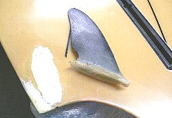 �|���G�X�e�� �I���t�B�� 9_1